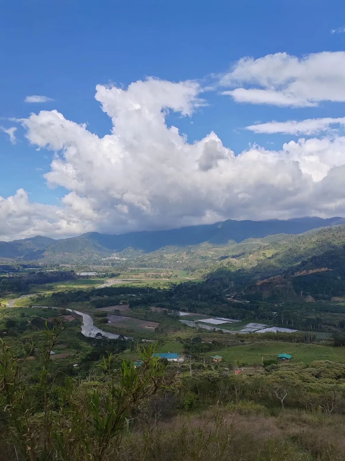 River winding through a green valley