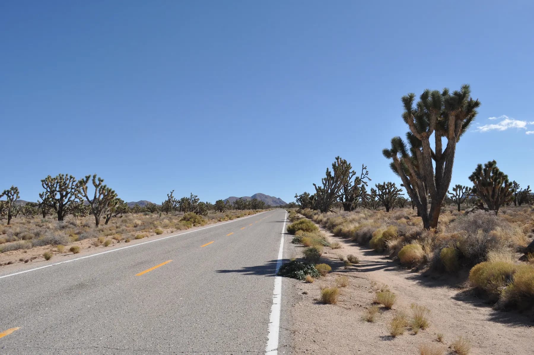 Empty road running through desert toward mountains